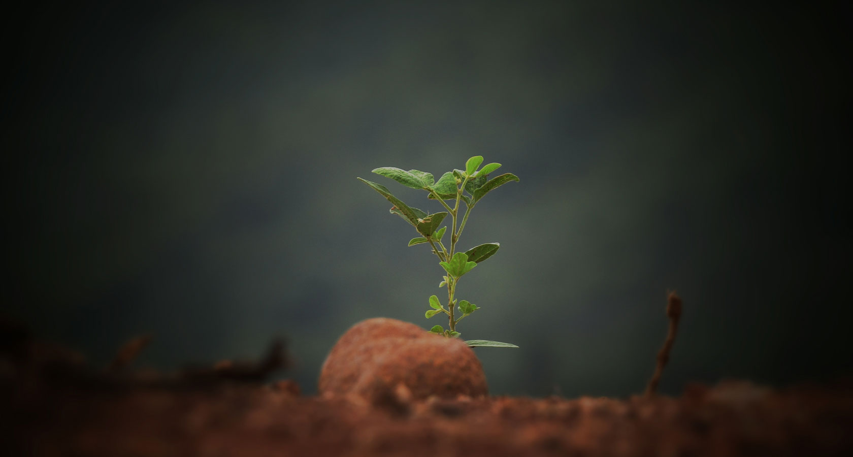 凯发·k8(中国游)官方网站